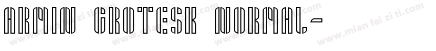 Armin Grotesk Normal字体转换